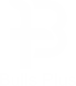 Bulls plus logo