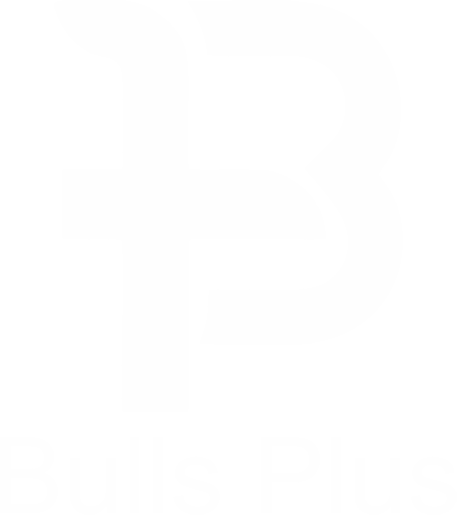 Bulls plus logo